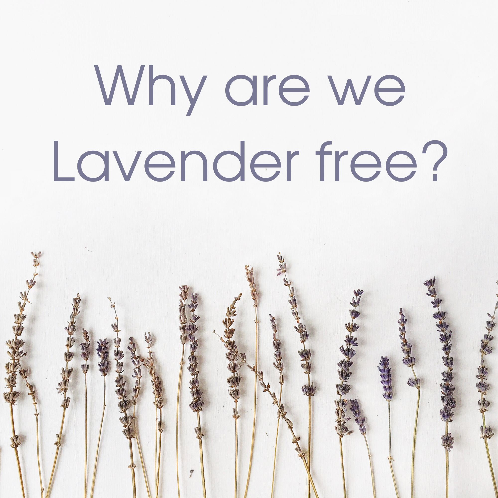 Why are we Lavender Free?