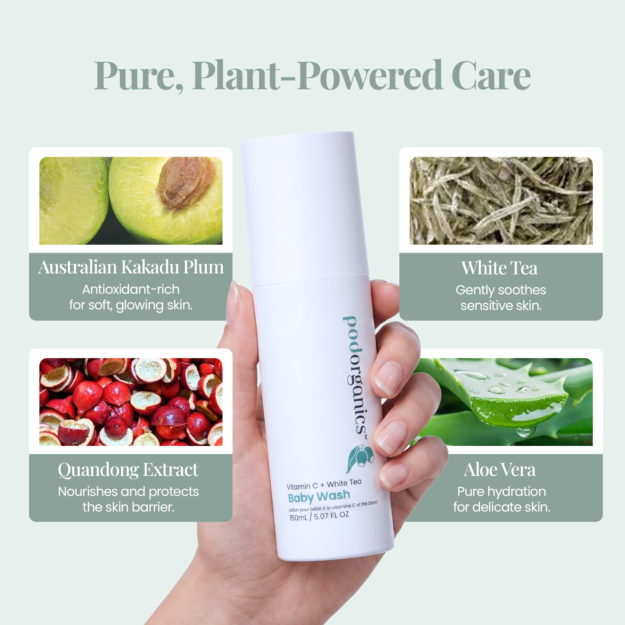 Pod Organics Vitamin C + White Tea Baby Wash with Kakadu Plum, White Tea, Quandong and Aloe Vera ingredient callouts