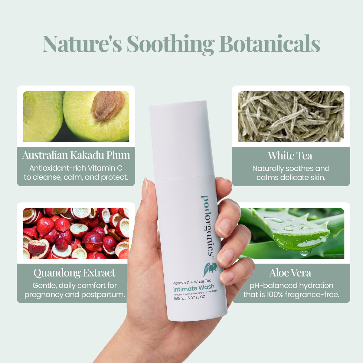 Pod Organics Vitamin C + White Tea Intimate Wash with Kakadu Plum, White Tea, Quandong and Aloe Vera ingredient callouts