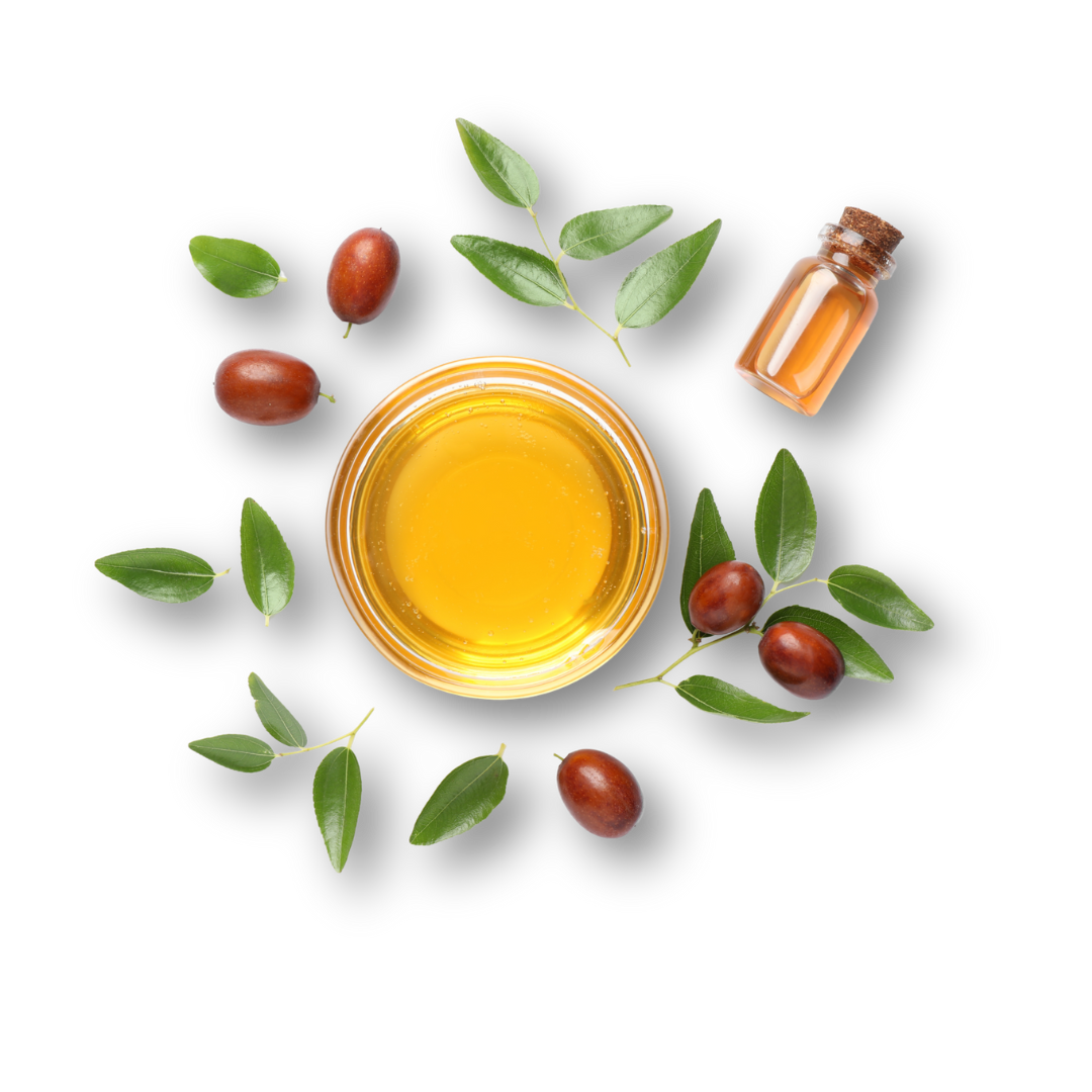 jojoba oil for pregnancy