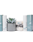 Pod Organics The Fourth Trimester Set with intimate wash, magnesium body cream and bamboo wash cloths on a white background