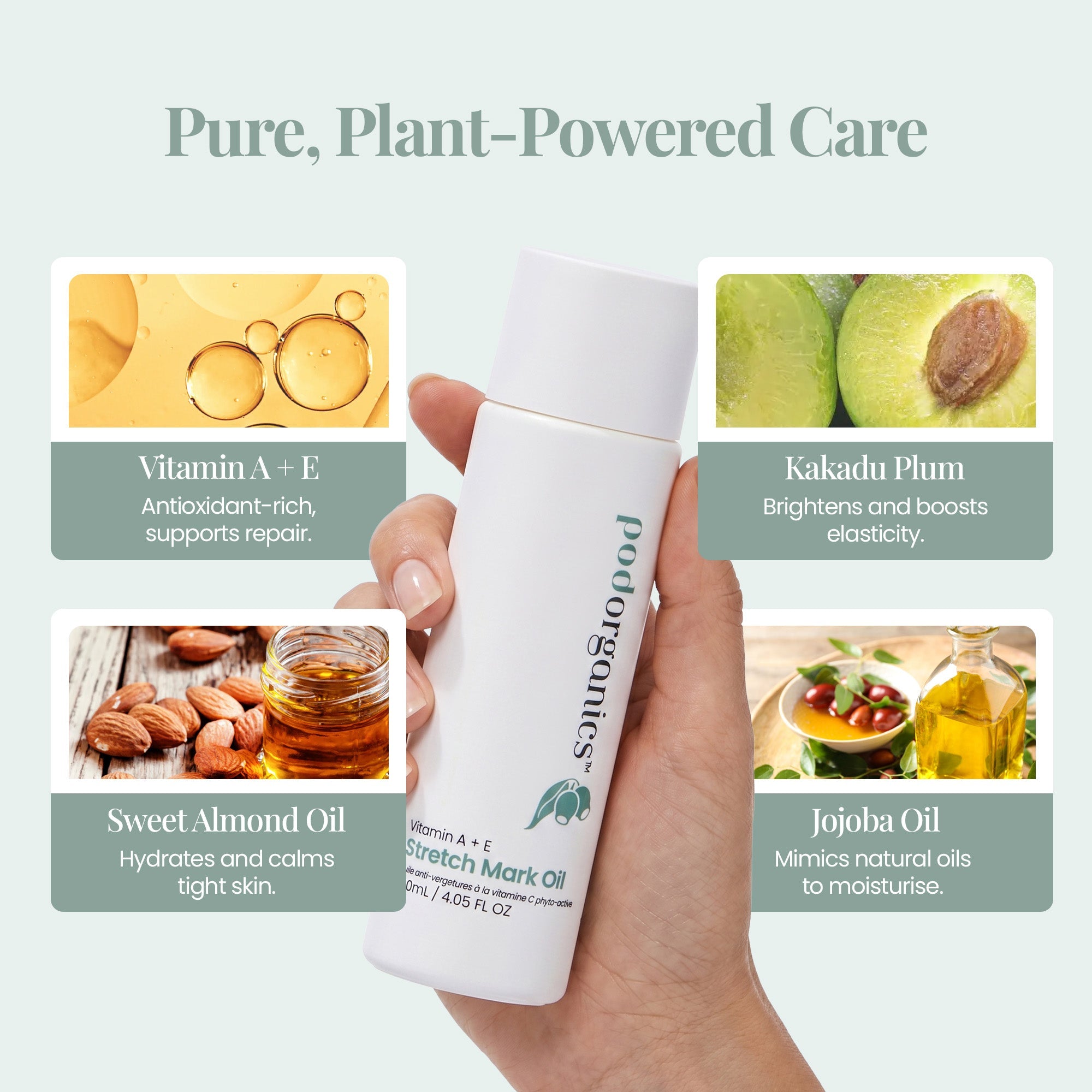 The Pregnancy Ritual Set Pod Organics
